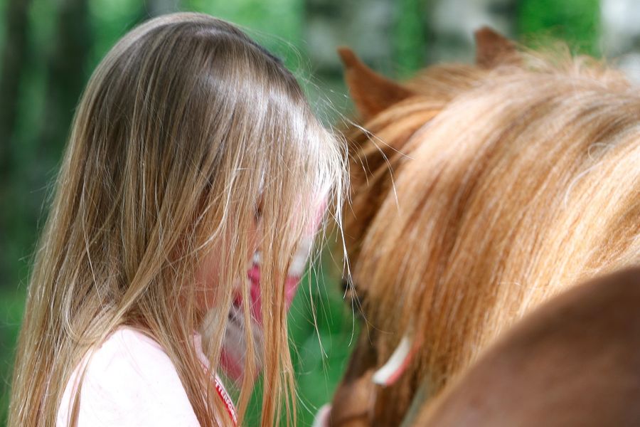 hest / barn / Norges Rytterforbund