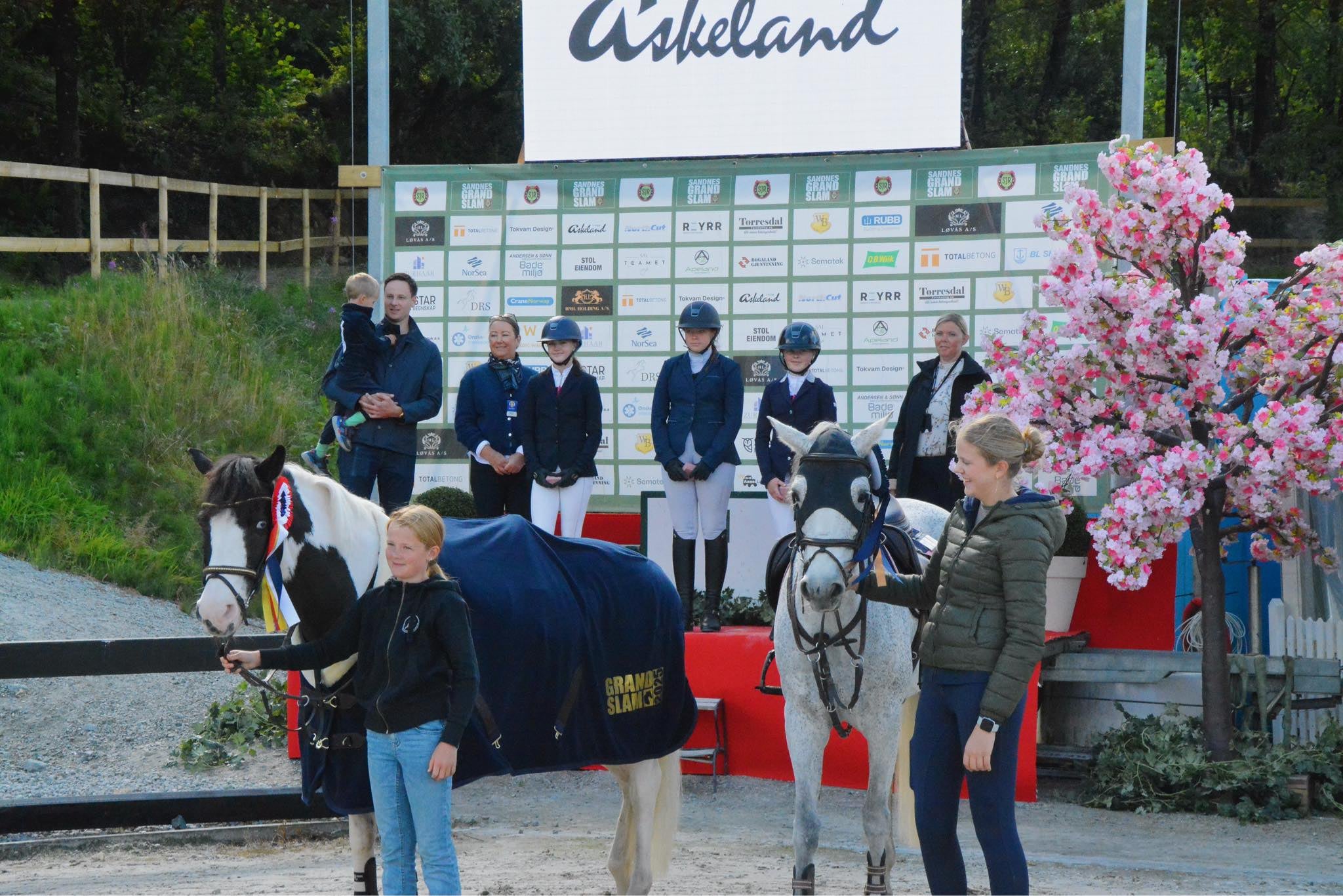 hest / Norges Rytterforbund