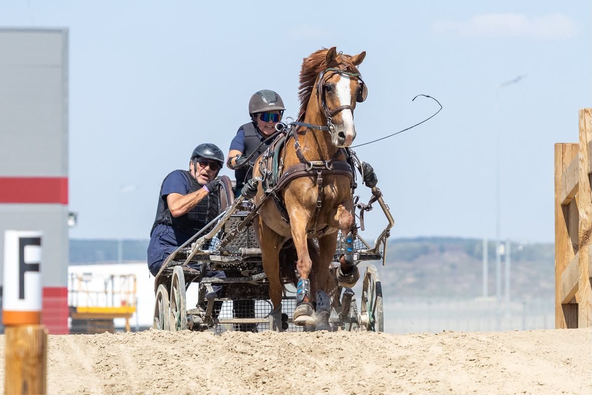 hest / Norges Rytterforbund / Vilde Valen Sendstad / kjøring