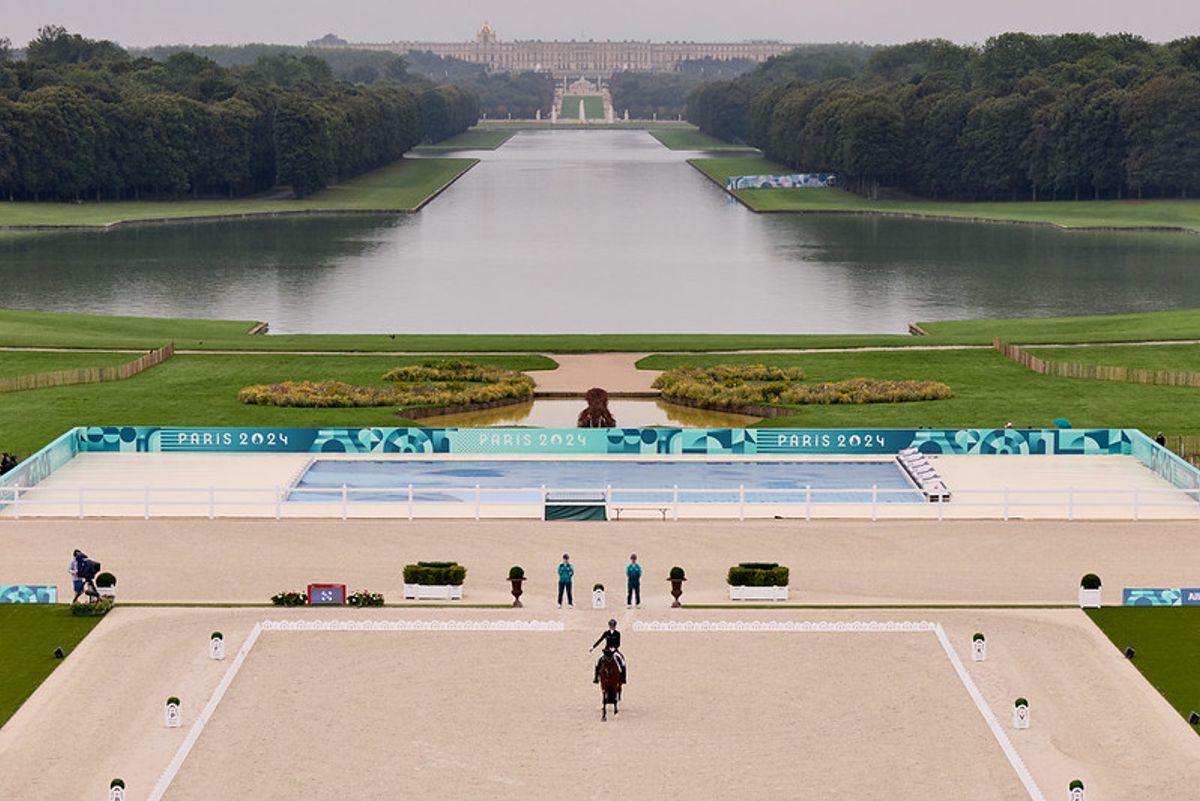 hest / Norges Rytterforbund / Paradressur