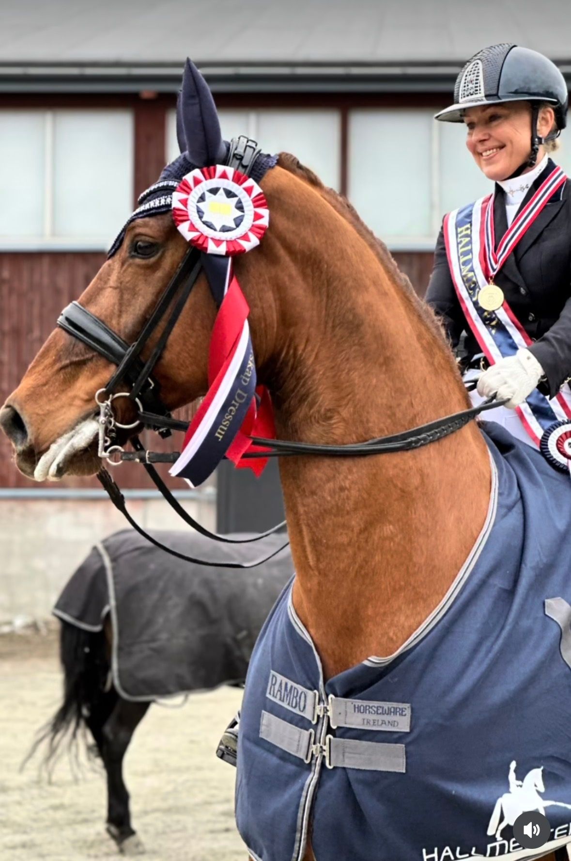 hest / Norges Rytterforbund / Cathrine Rasmussen / dressur