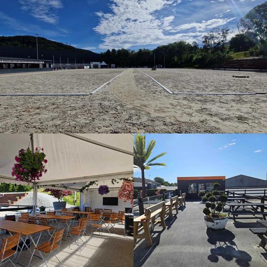 hest / Norges Rytterforbund