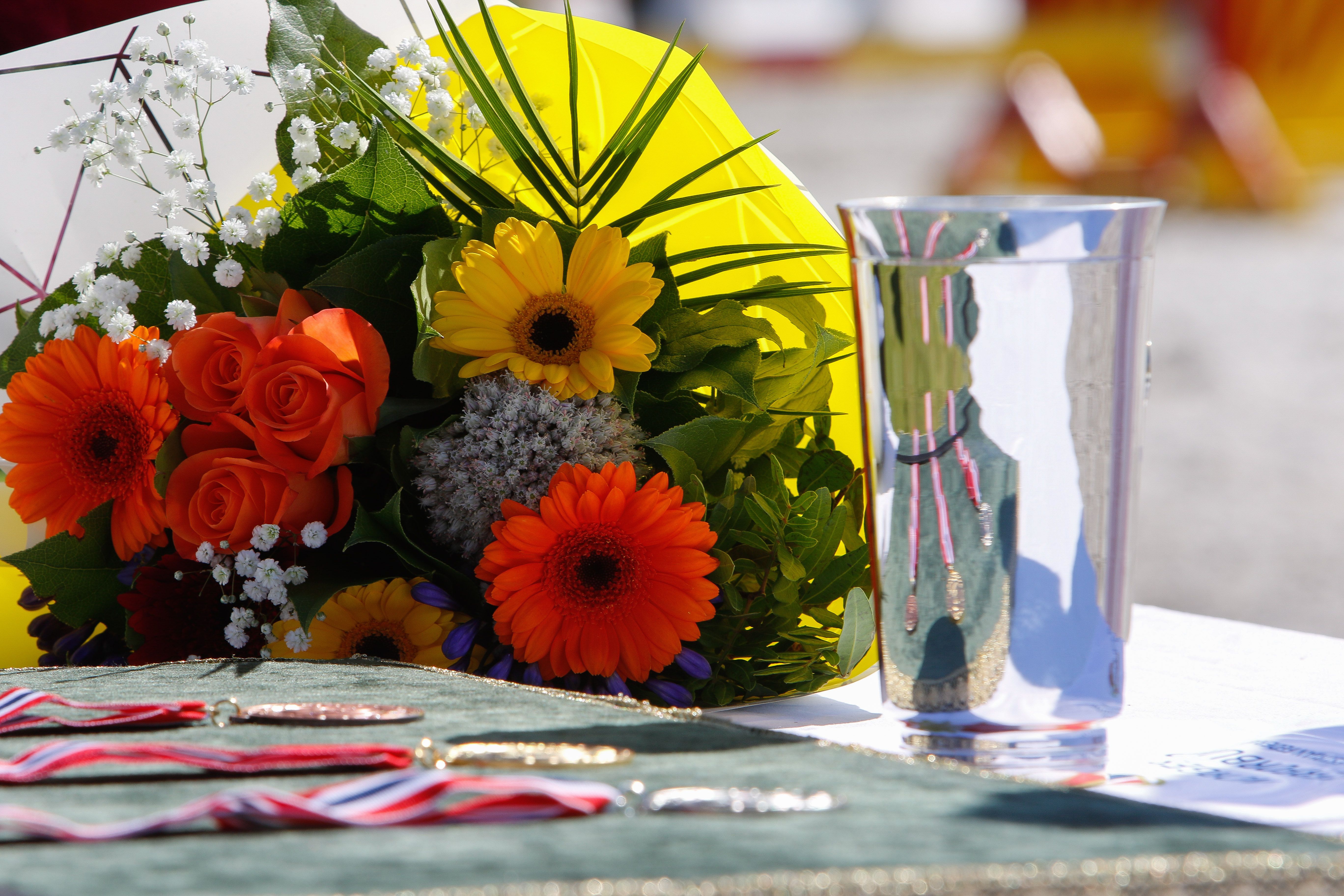 hest / Norges rytterforbund