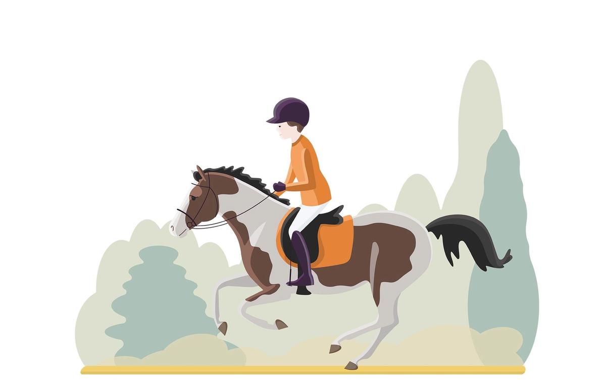 NRYF / nryfstevne / Stevner