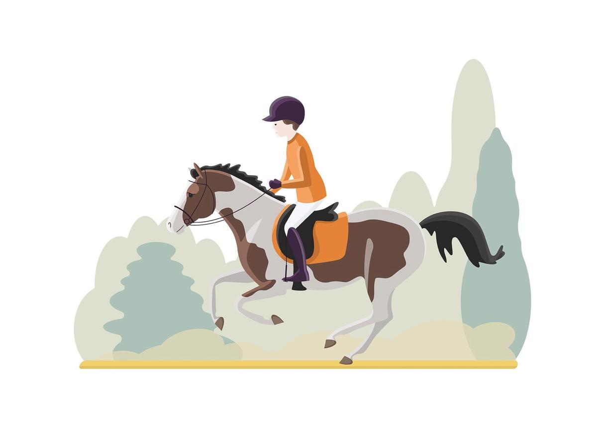 NRYF / nryfstevne / Stevner