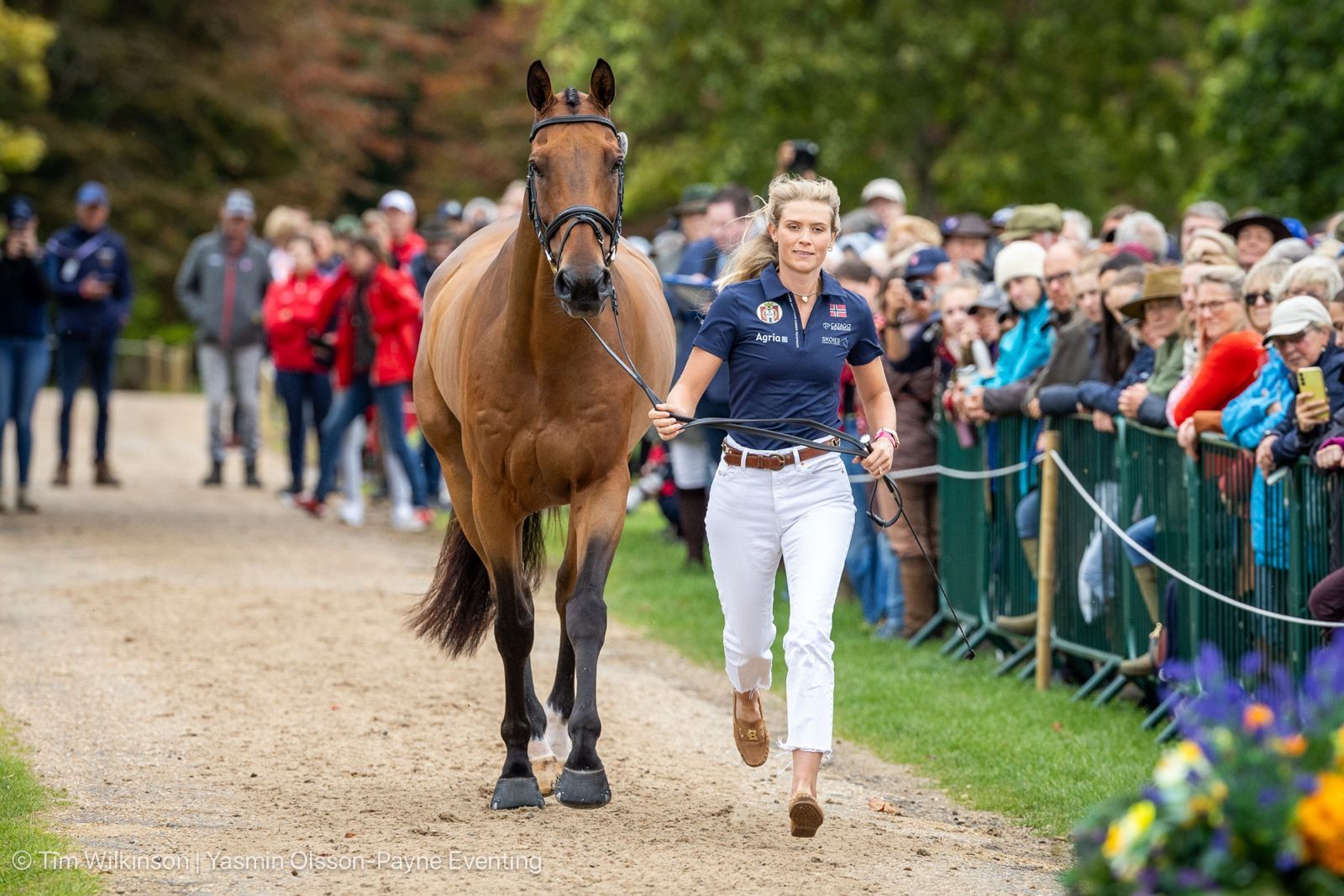hest / Norges Rytterforbund / feltritt