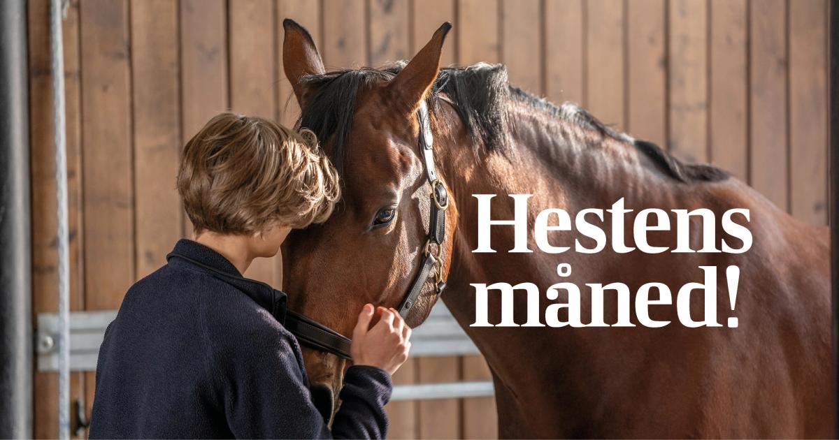 hest / Norges Rytterforbund / Agria / Hestens måned