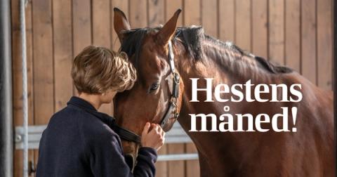 hest / Norges Rytterforbund / Agria / Hestens måned