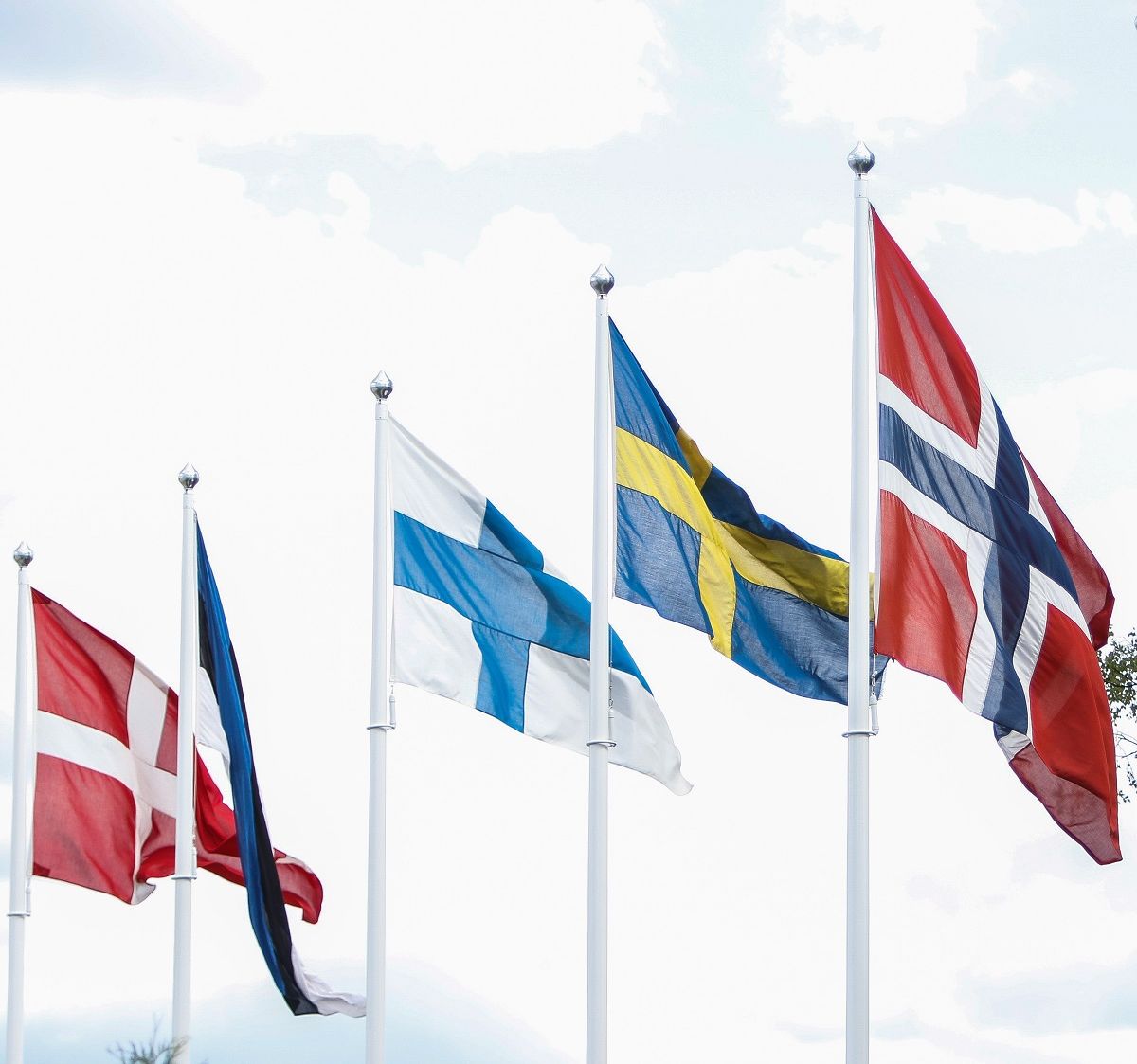 flagg / Norges Rytterforbund