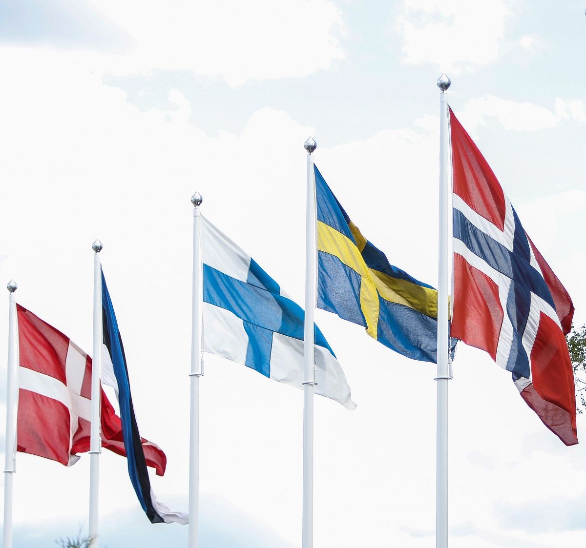 flagg / Norges Rytterforbund