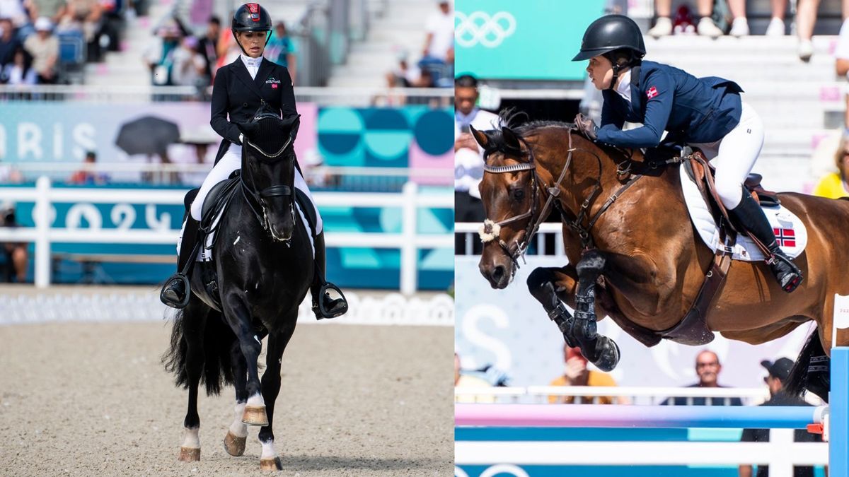 hest / Norges Rytterforbund 