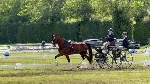 hest / Norges Rytterforbund