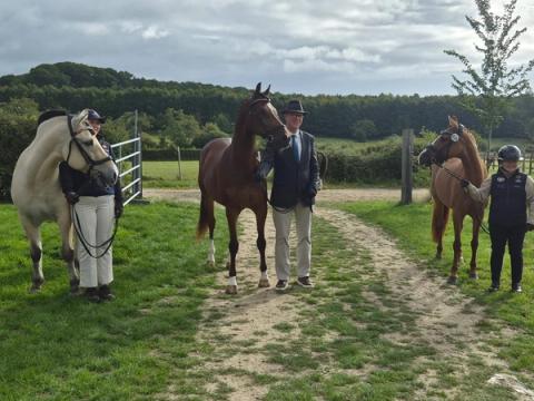 hest / Norges Rytterforbund 