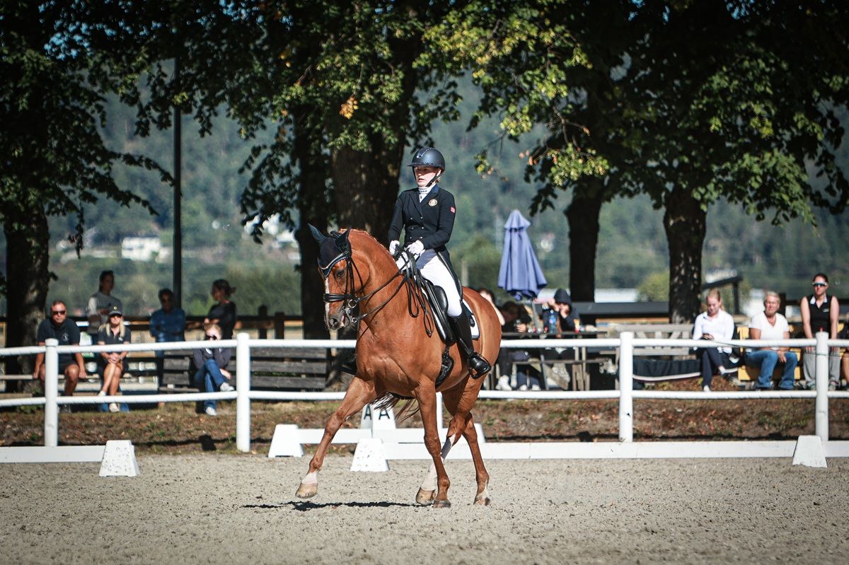 hest / Norges Rytterforbund / dressur / Siri Thelle Tønnesen