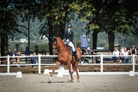 hest / Norges Rytterforbund / dressur / Siri Thelle Tønnesen