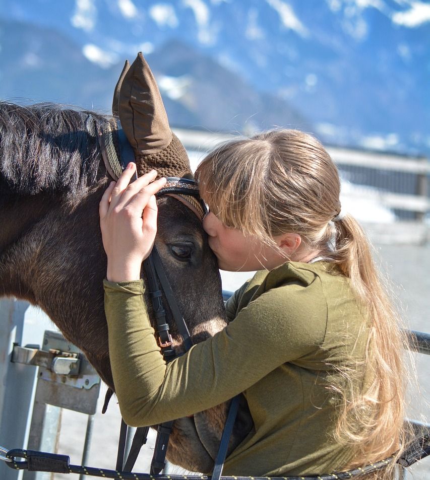 hest / Norges Rytterforbund