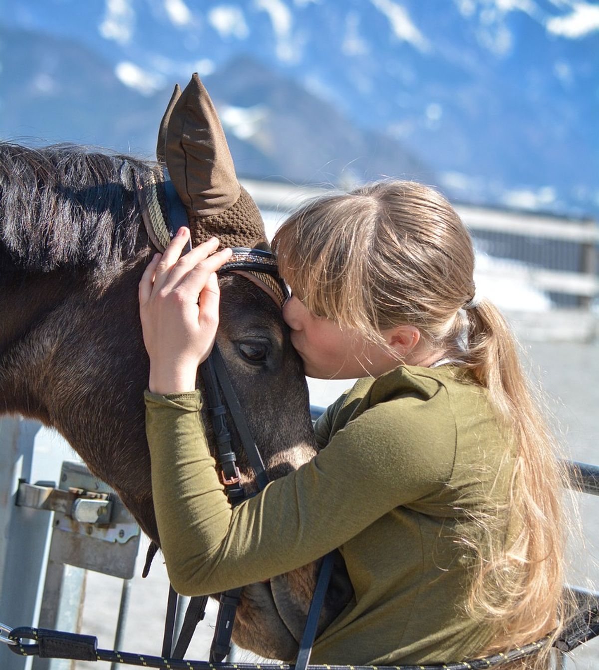 hest / Norges Rytterforbund