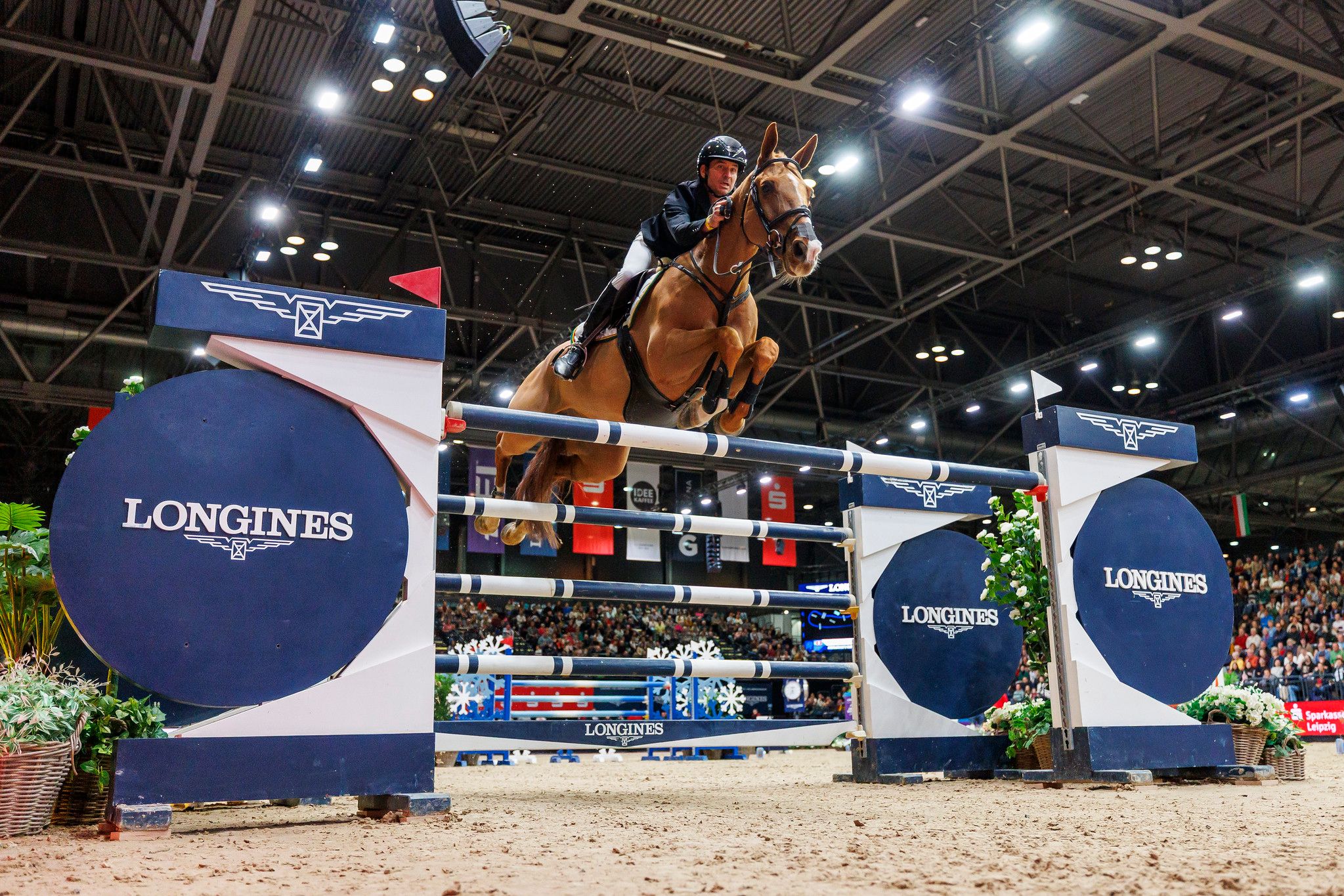 hest / Norges Rytterforbund 