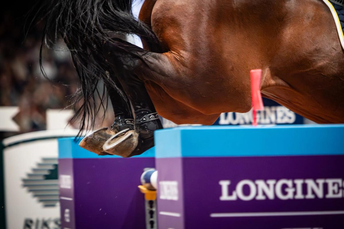 hest / Norges Rytterforbund / Longines / World Cup