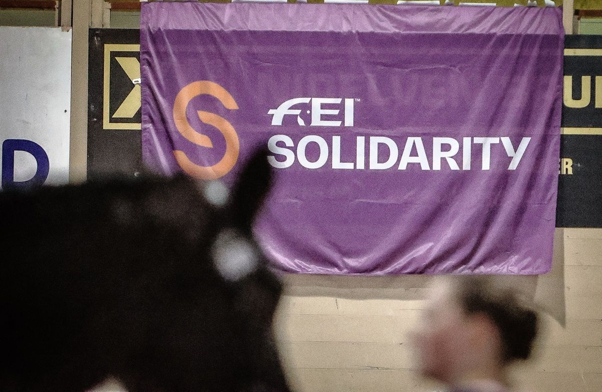 hest / Norges Rytterforbund / FEI Solidarity