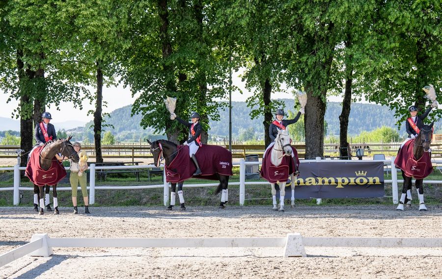 hest / Norges Rytterforbund