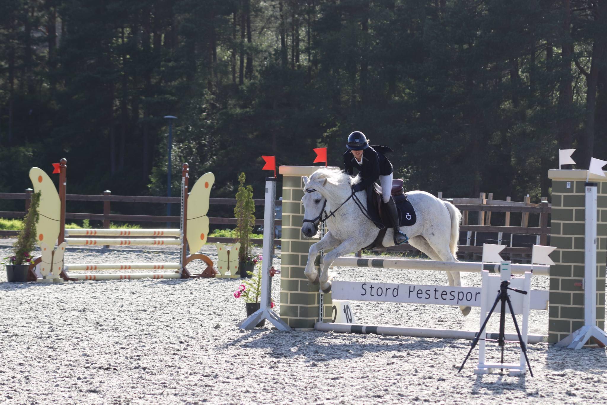 hest / Norges Rytterforbund