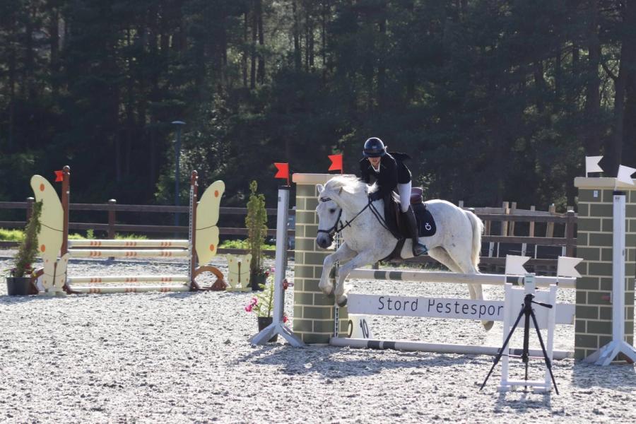 hest / Norges Rytterforbund