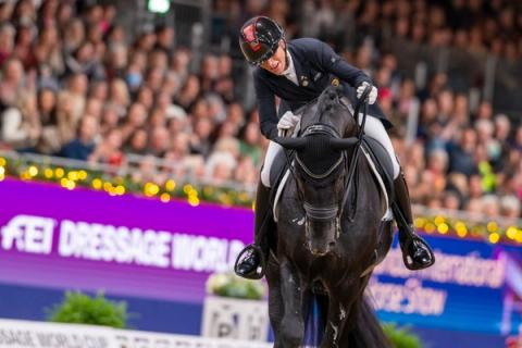 hest / Norges Rytterforbund / Isabel Freese