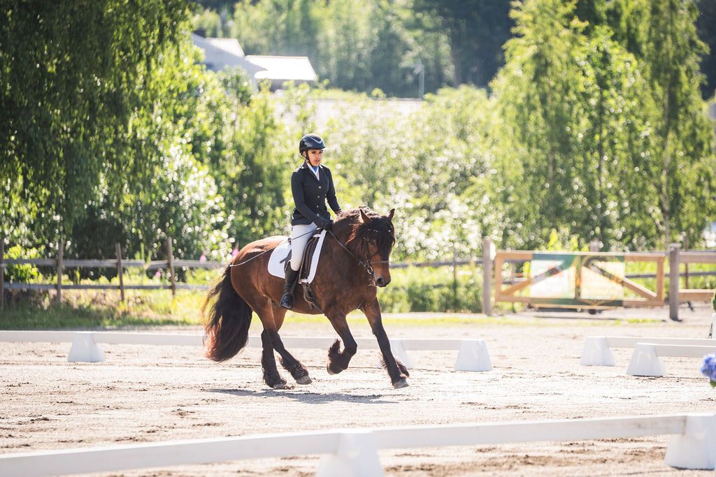 hest / Norges Rytterforbund