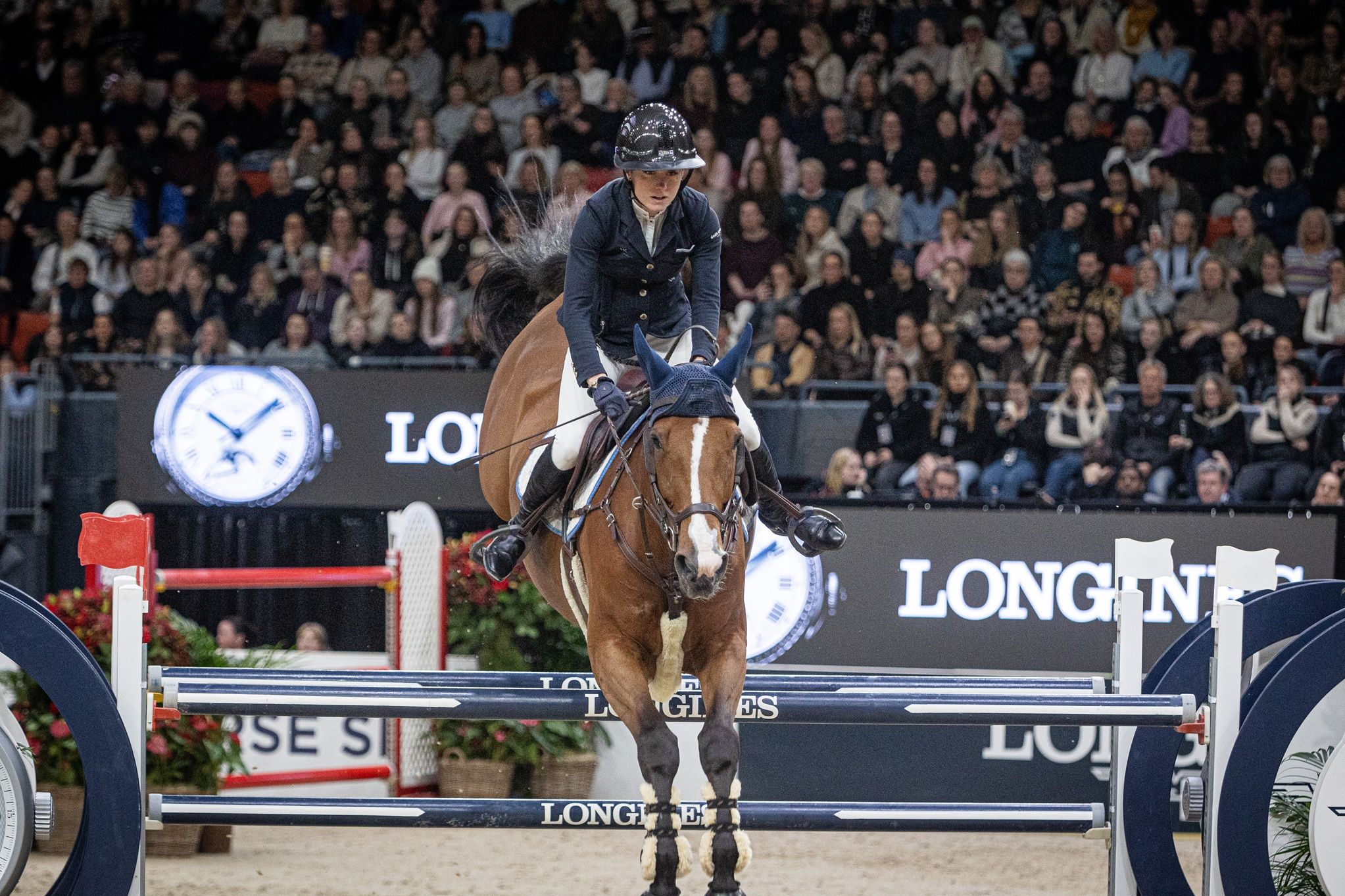 hest / Norges Rytterforbund / Oda Charlotte Lyngvær 