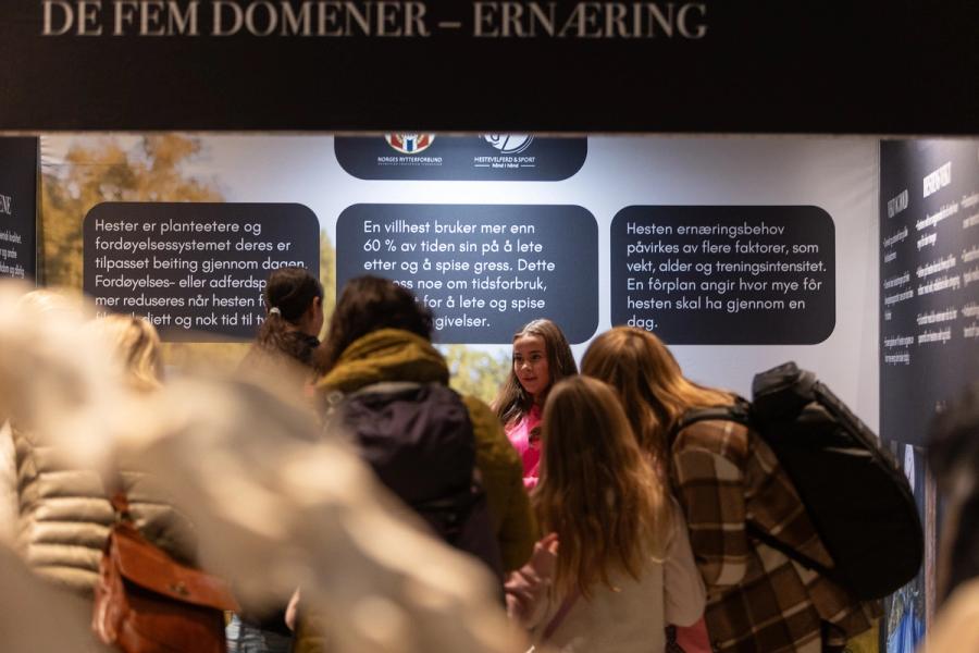 hest / hestevelferd for alle