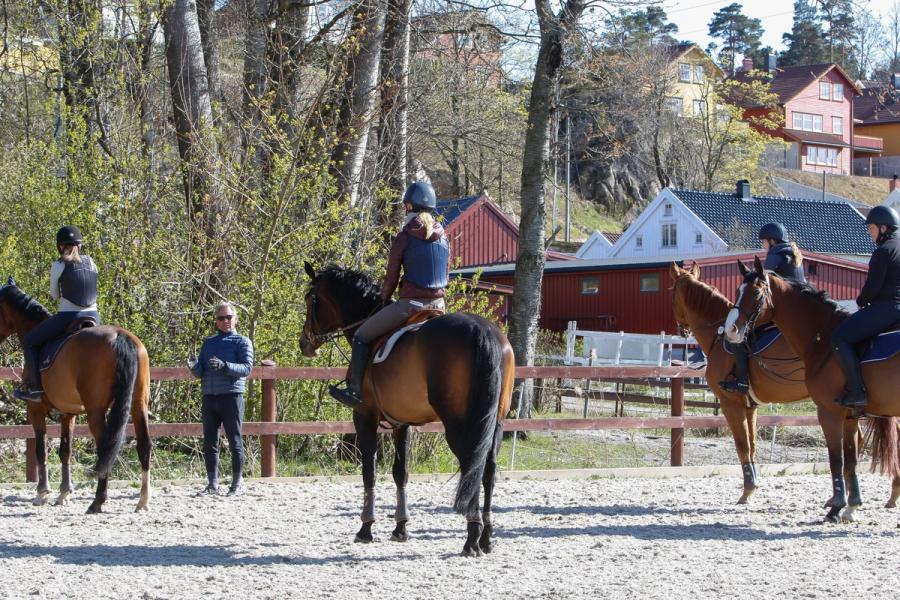 hest trener peter flam