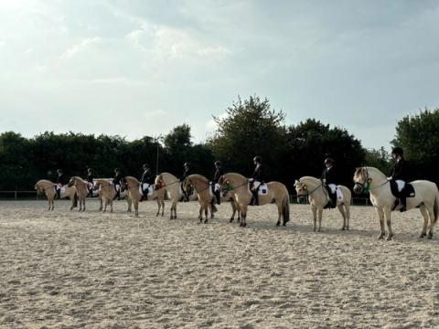 hest / Norges Rytterforbund