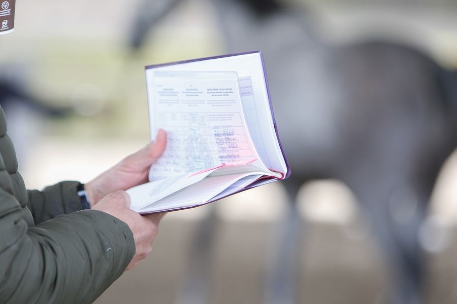 hest / Norges Rytterforbund