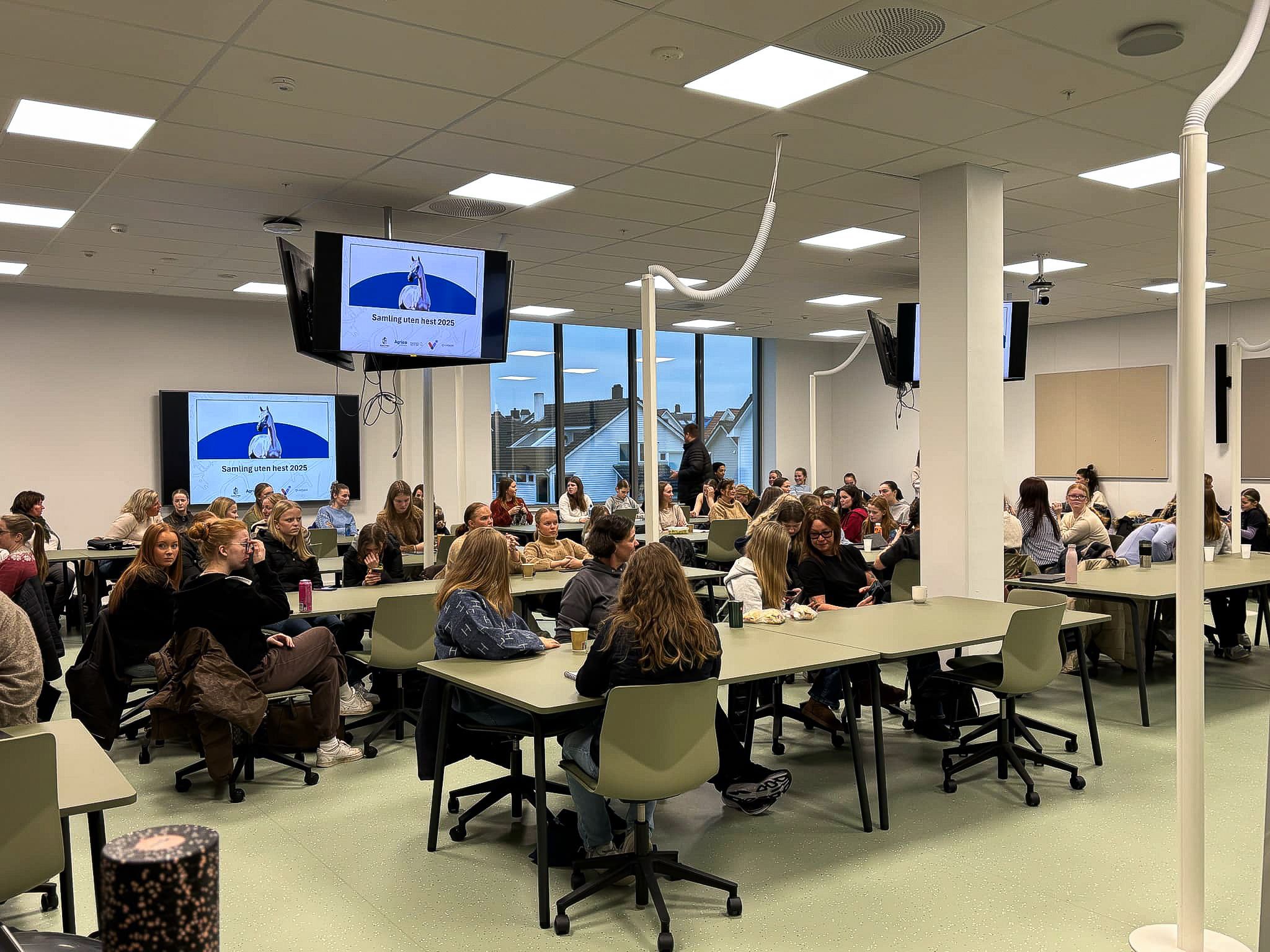 hest / Norges Rytterforbund / Samling uten hest