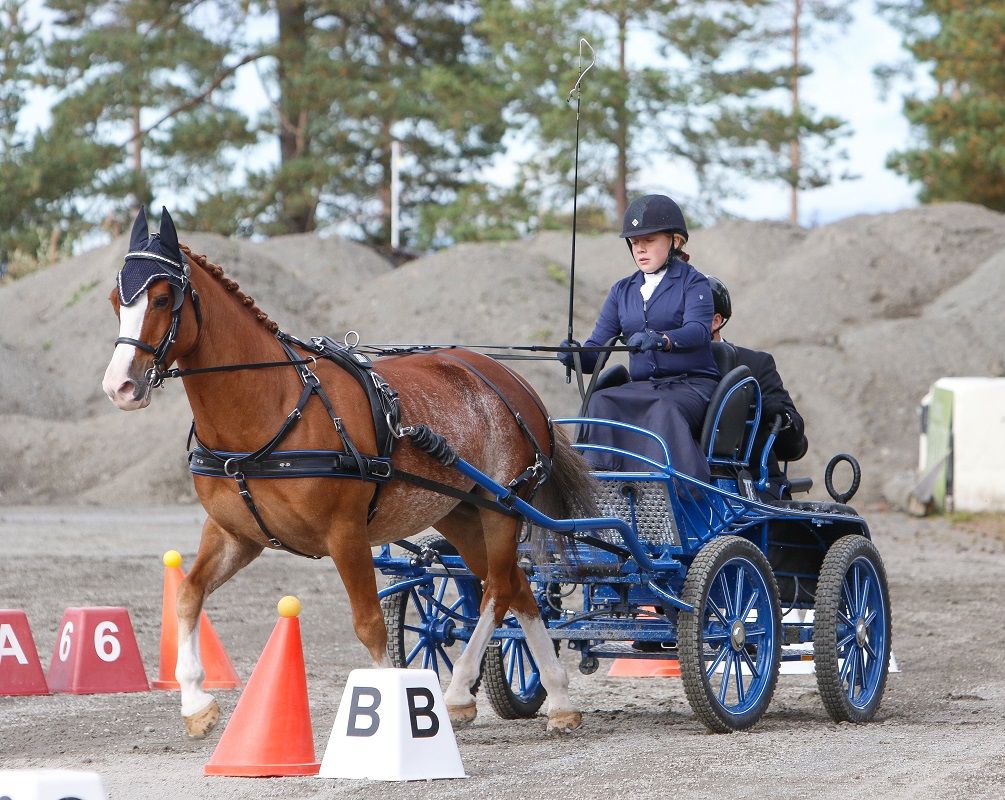 hest / Norges Rytterforbund