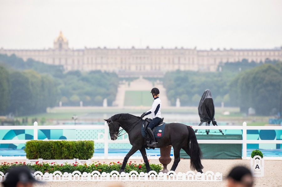 hest / Norges Rytterforbund