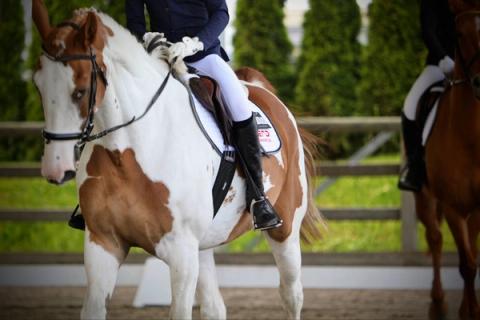 hest / Norges Rytterforbund /FERD Rideskolecup