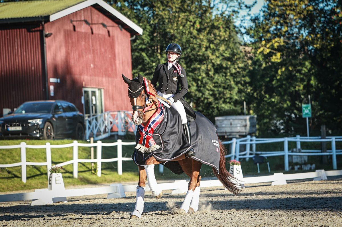 hest / Norges Rytterforbund 