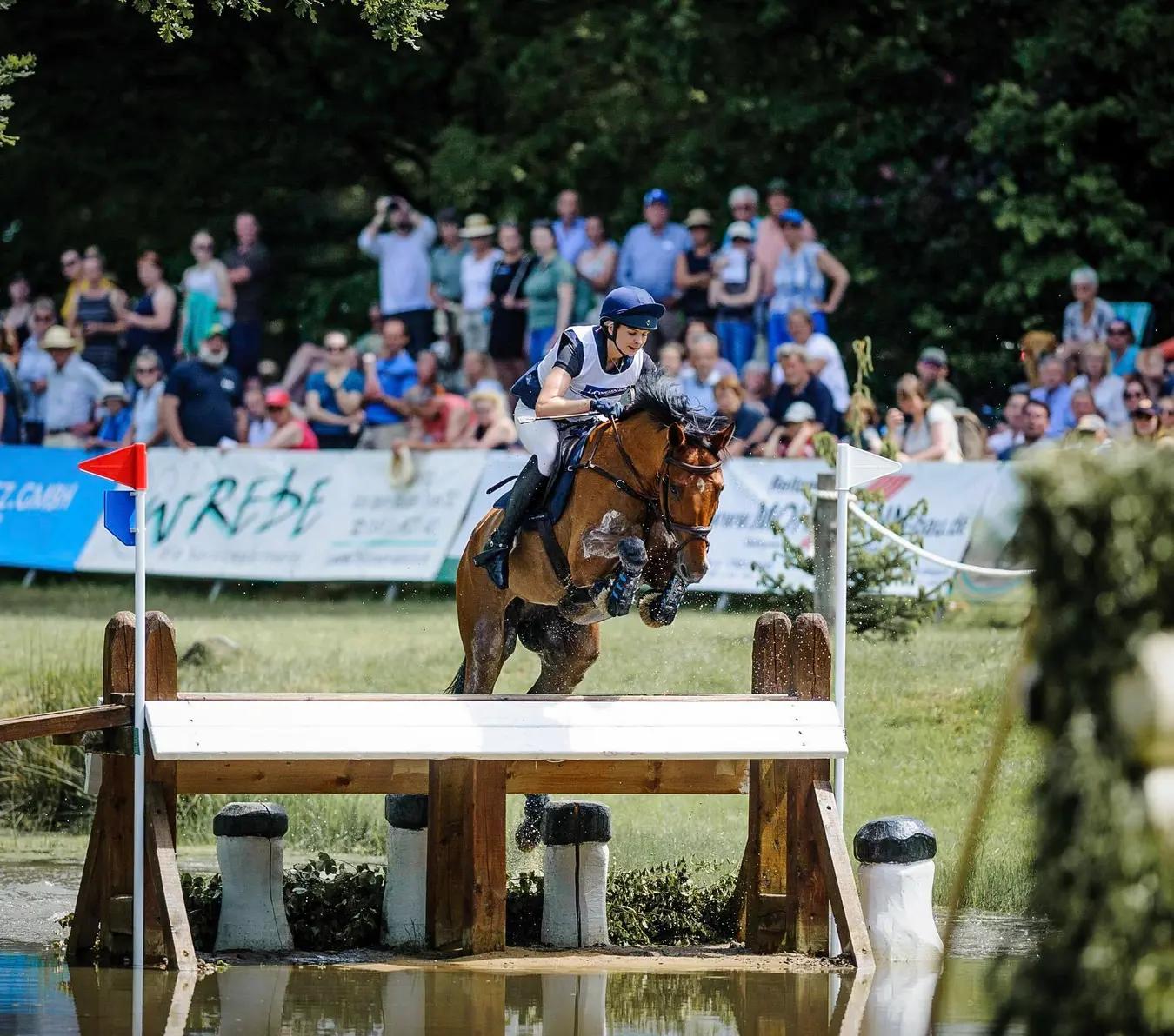 hest / norges rytterforbund