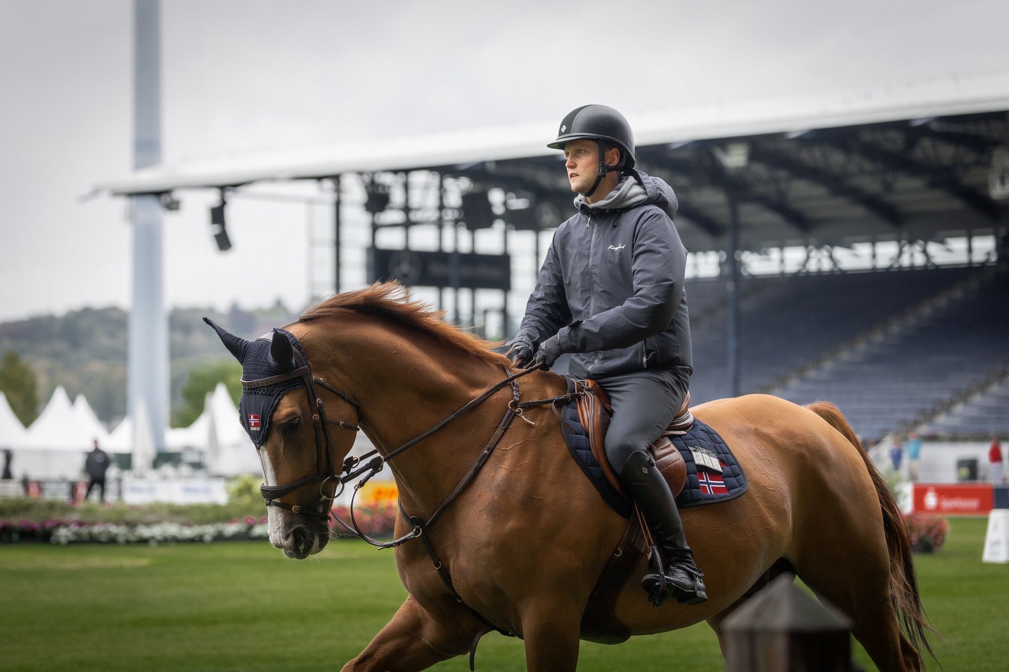 hest / Norges Rytterforbund 
