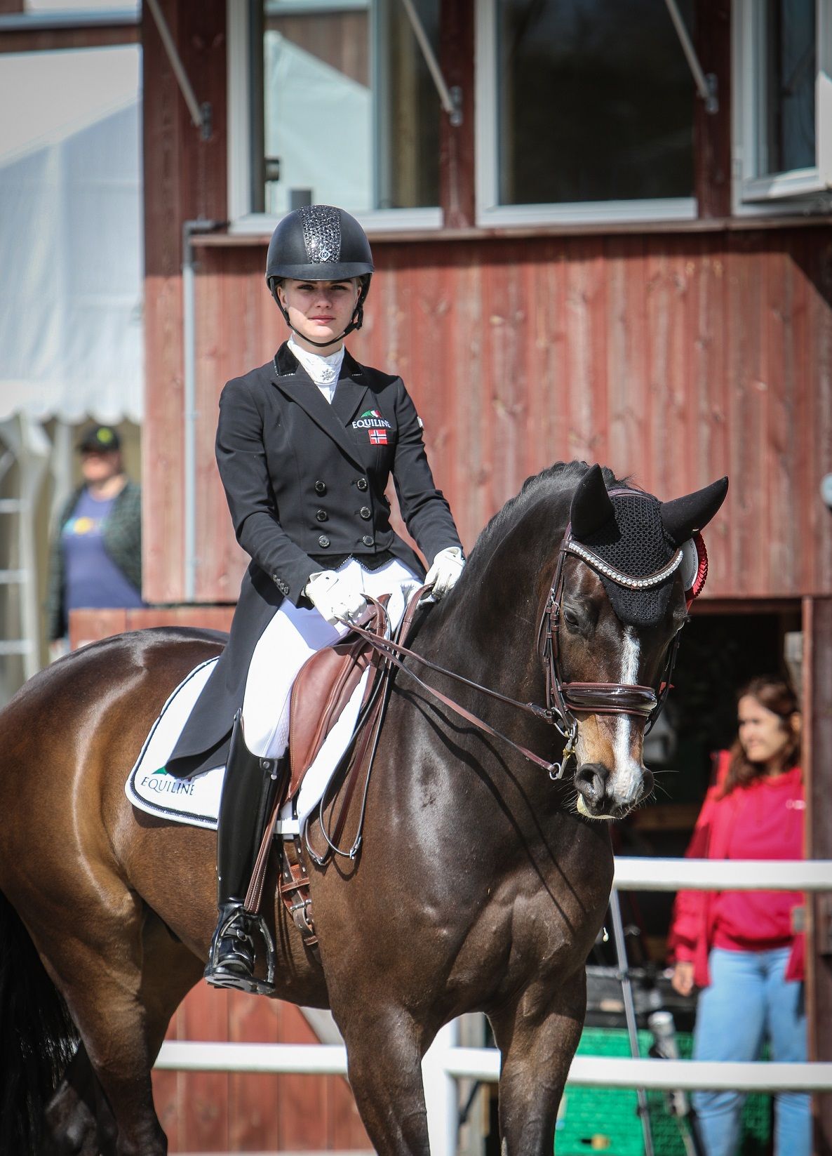 hest / Norges Rytterforbund
