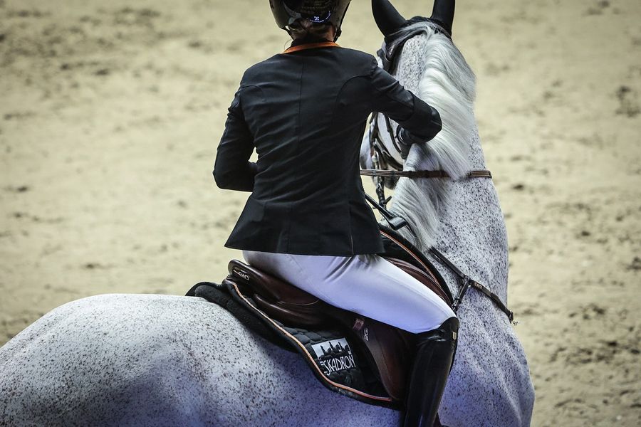 hest / Norges Rytterforbund