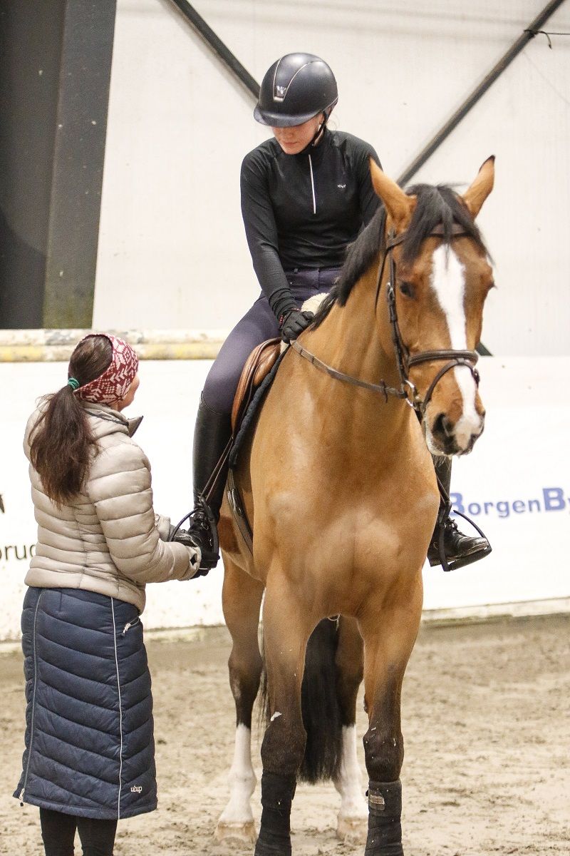 hest / trening / Maria Terese Engell / Norges Rytterforbund