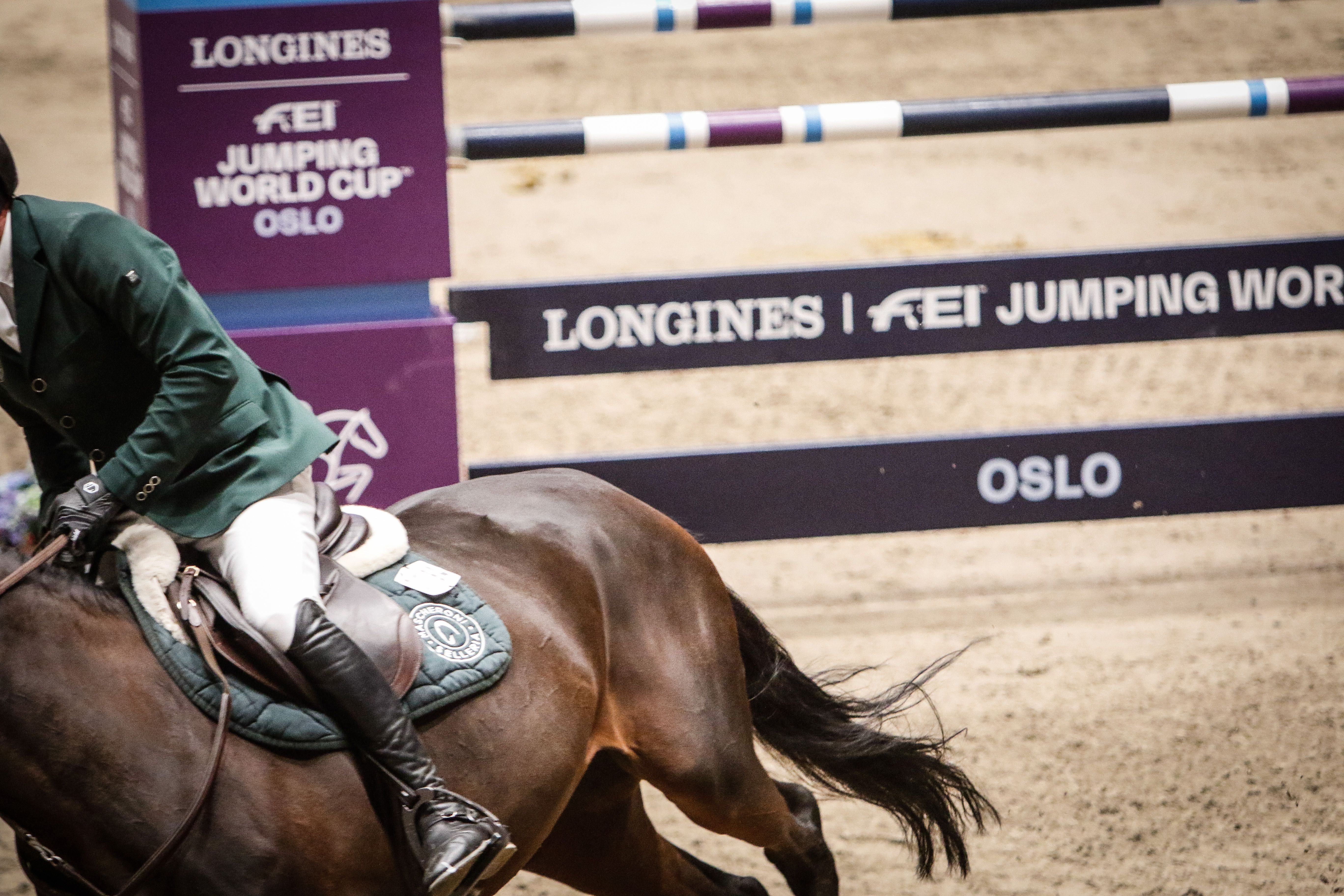 hest / Norges Rytterforbund