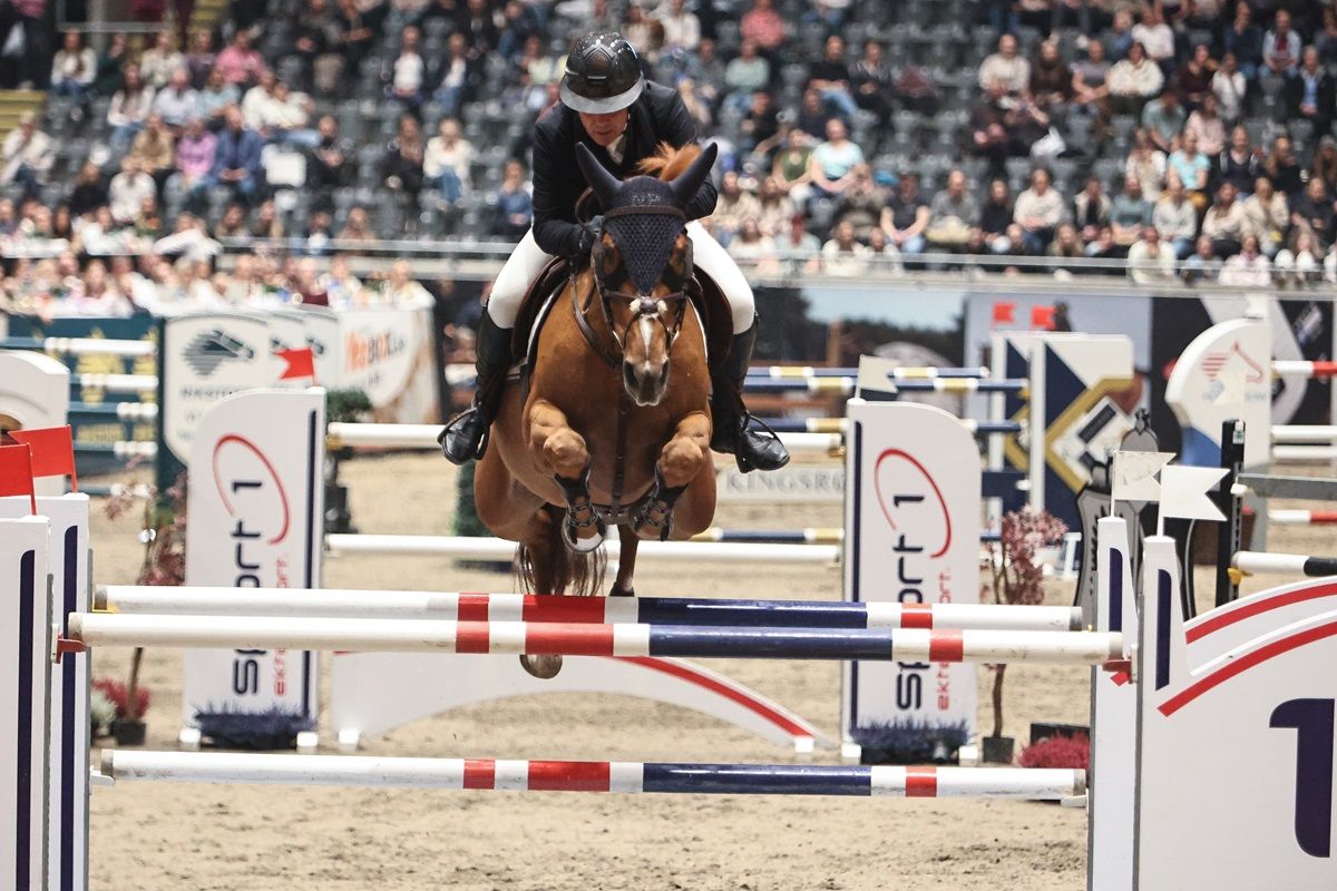 hest / Norges Rytterforbund