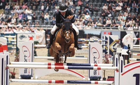 hest / Norges Rytterforbund