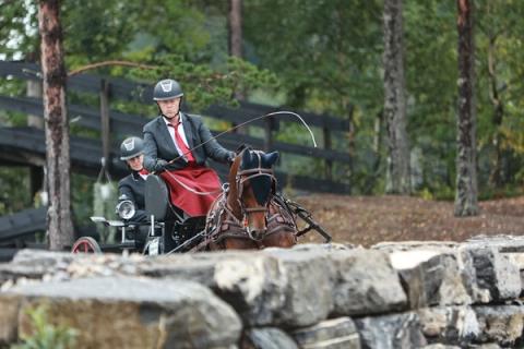 hest / Norges Rytterforbund 