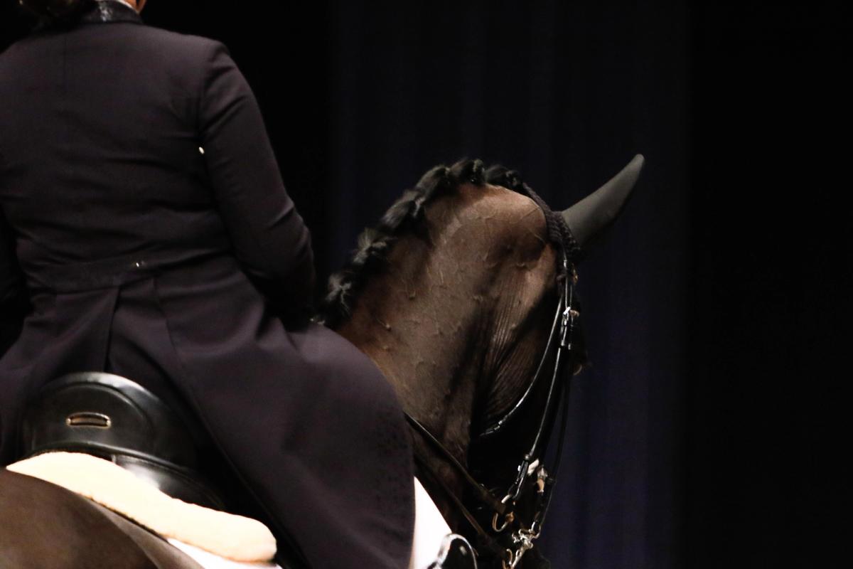 Agria Oslo Horse Show