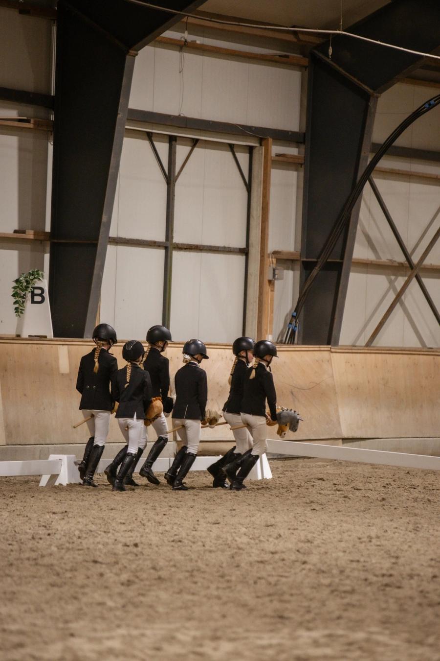 hest / Norges Rytterforbund / kjepphestkvadrilje / Kjepphest